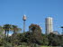 New South Wales 40015