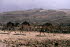 Oman 20022