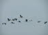 Ostsee 20006
