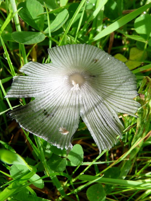 P1460959