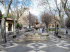 Palma_de_M_0068