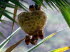 Palmitos_Park_0035