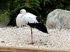 Palmitos_Park_0100