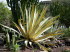 Palmitos_Park_0124