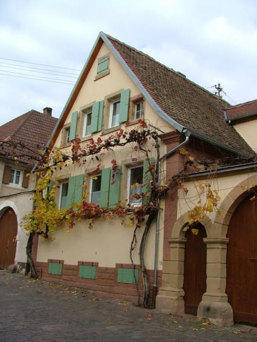 Pfalz_0035