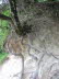 Plitvitz_h0009