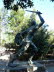 Pollenca_0009