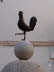 Pollenca_0017