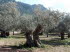 Port_Valldemossa_0005