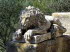 Puig_d_S_Salvador_0013