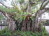 Queensland 10006