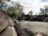 Queensland 10009
