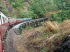 Queensland 10021