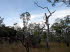 Queensland 30013