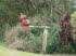 Queensland 30015