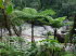 Queensland 30016