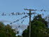 Queensland 40017