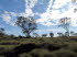 Queensland 50007