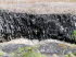 Queensland 50019