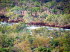 Queensland 50021