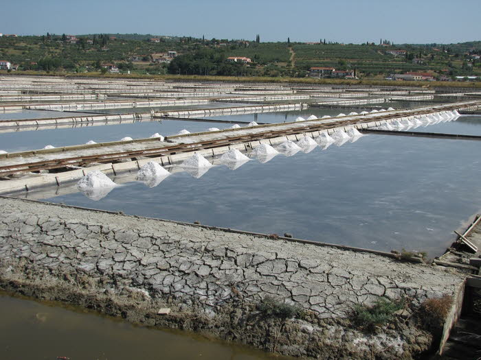 Saline_q0007
