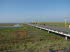 Schleswig_Holstein_0226