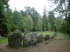 Schweden 20006