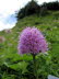 Schyrigeplatte_0131