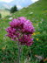 Schyrigeplatte_0144
