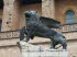 Sineu_0070