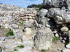 Son_Fornes_0012