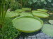 St_Gallen_BotGarten_0002