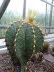 St_Gallen_BotGarten_0008