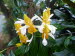 St_Gallen_BotGarten_0020
