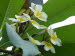 St_Gallen_BotGarten_0029