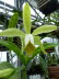 St_Gallen_BotGarten_0051