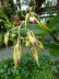 St_Gallen_BotGarten_0058