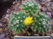 St_Gallen_BotGarten_0112