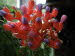 St_Gallen_BotGarten_0118