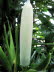 St_Gallen_BotGarten_0120