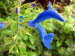 St_Gallen_BotGarten_0138