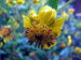 St_Gallen_BotGarten_0143