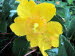 St_Gallen_BotGarten_0147