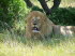 Sdafrika 010012