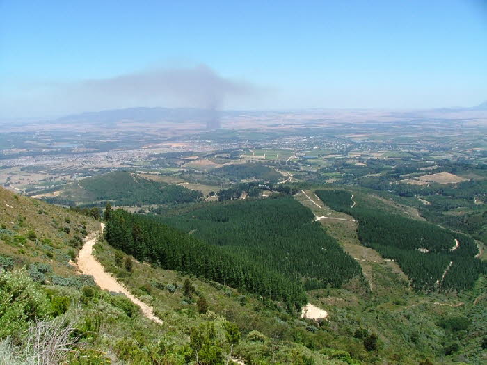 Sdafrika 020028