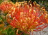 Sdafrika 030007