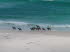 Sdafrika 030018