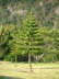 Sdafrika 040006