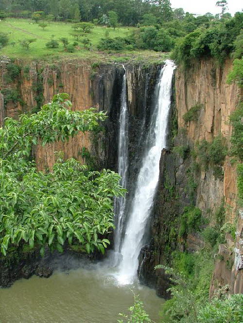 Sdafrika 080006