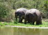 Sdafrika 090002